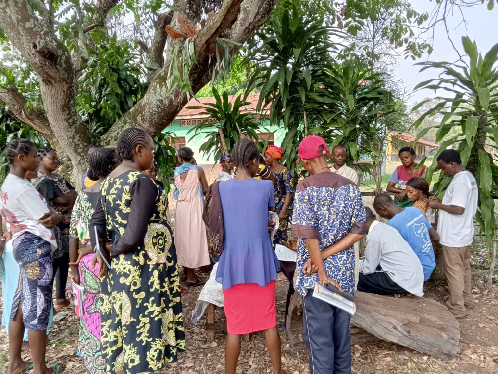 Écosystème financier